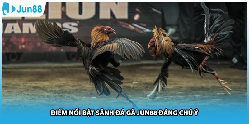 Điểm nổi bật sảnh đá gà Jun88 đáng chú ý